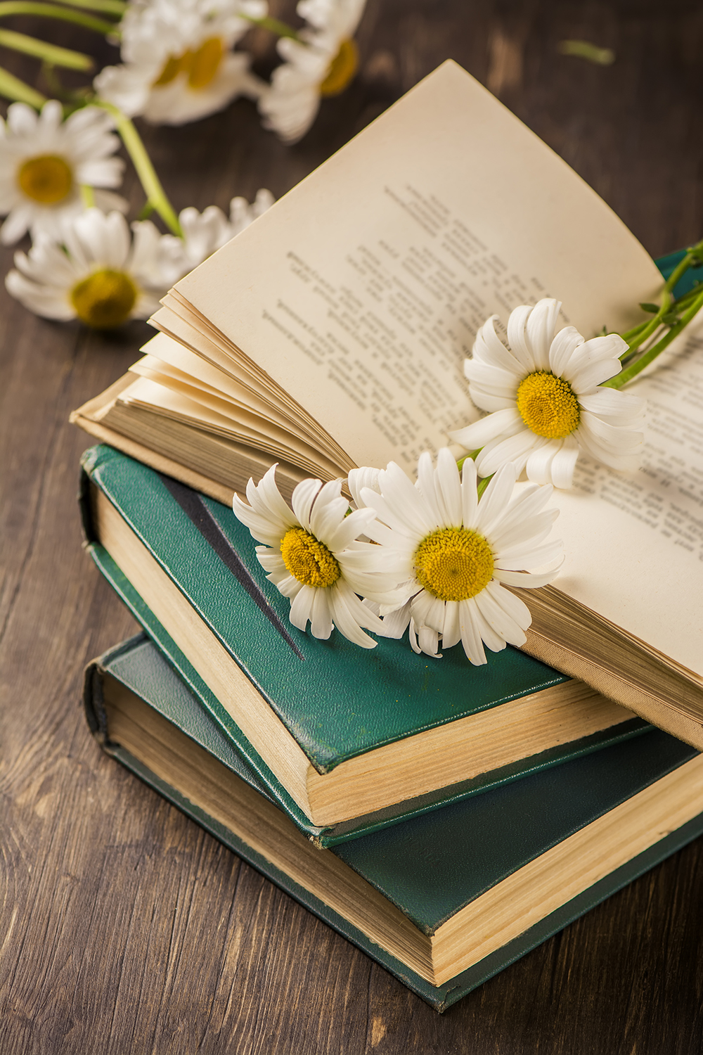 Flowers, Book Organization, Natural Tones